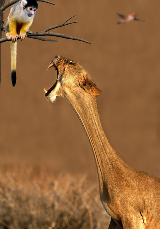 Photoshop Design by ThreeProngs for DesignCrowd (Community Contests) | Design #8992784