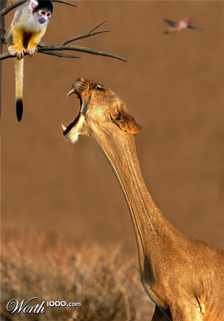 Photoshop Design by ThreeProngs