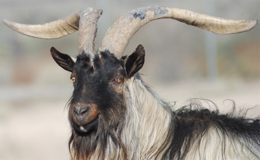 Photography by ClickChick for DesignCrowd (Community Contests) | Design #8996152