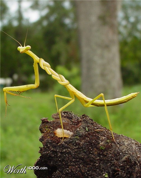 Photoshop Design by jlipidarov