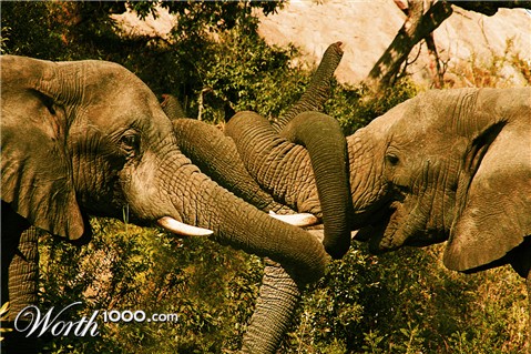 Photoshop Design by Kingslip