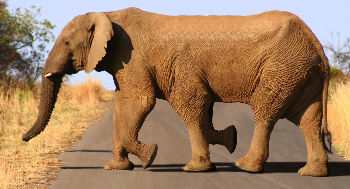 Diseño de Photoshop por reliable para DesignCrowd (Community Contests) | Diseño #8993588