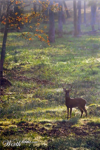 Photography by Fishcat