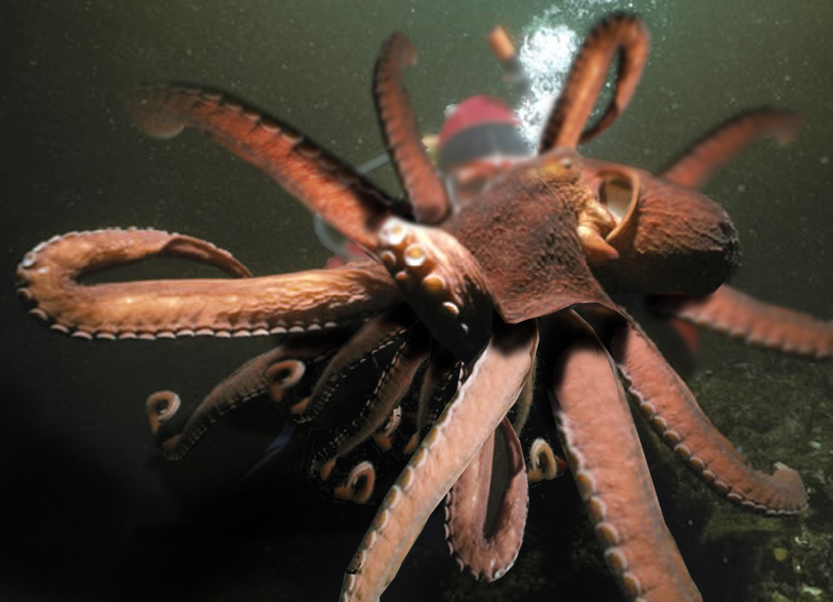 Photoshop-Design von Sweatymonk für DesignCrowd (Community Contests) | Design #8993597