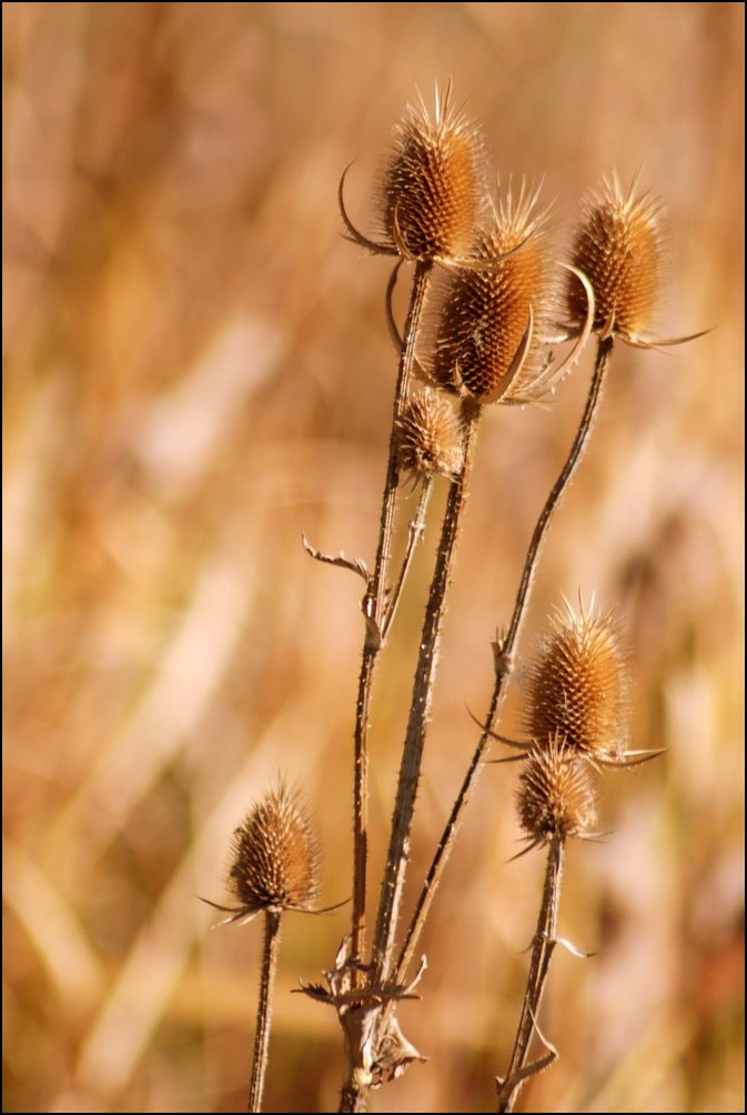 Photography by mmc9496 for DesignCrowd (Community Contests) | Design #8993523