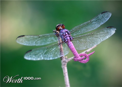 Photoshop Design by abbydda