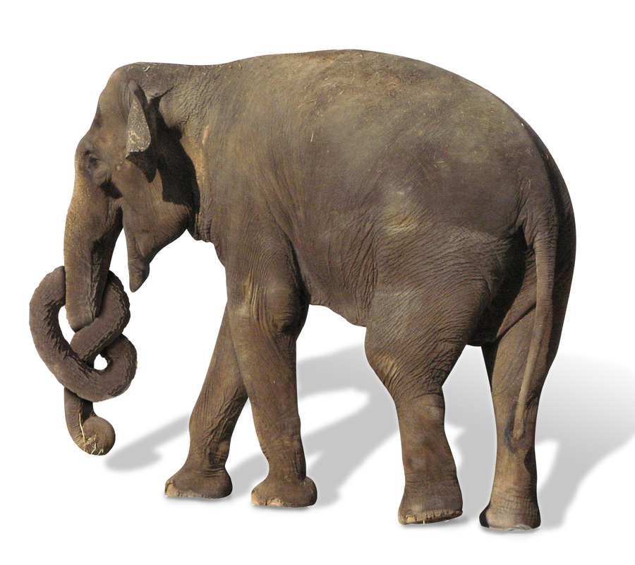 Photoshop-Design von Rocksham für DesignCrowd (Community Contests) | Design #8994376