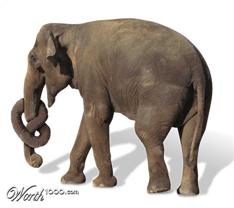 Photoshop Design by Rocksham