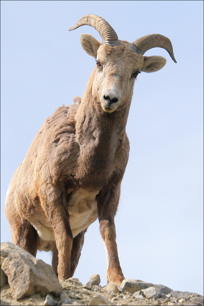 Photography by whlutz for DesignCrowd (Community Contests) | Design #8996136