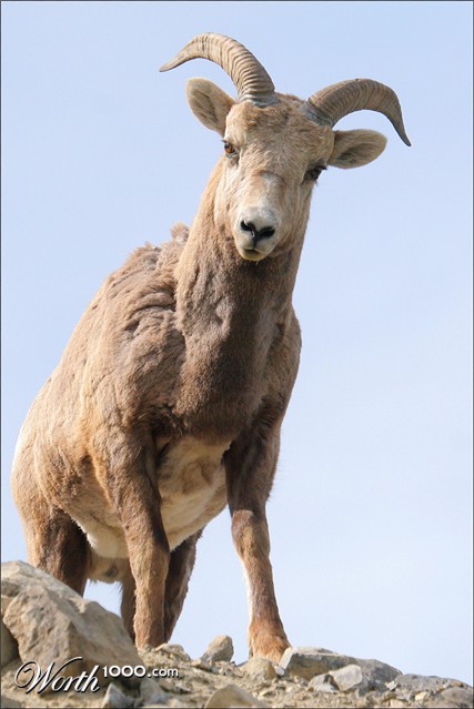 Photography by whlutz