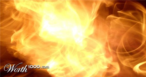 Photography by bestpicturesever