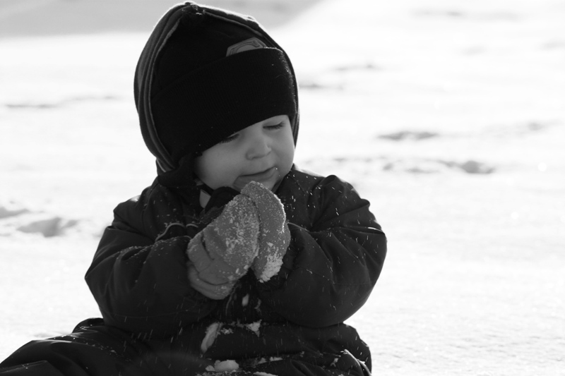 Photography by stricnyne for DesignCrowd (Community Contests) | Design #8994962