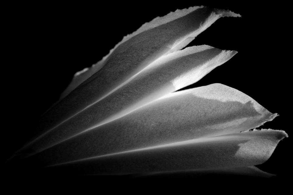 Photography by kalyangantait for DesignCrowd (Community Contests) | Design #8994622