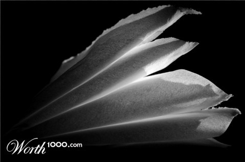 Photography by kalyangantait