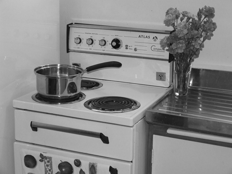 Photography by cara041106 for DesignCrowd (Community Contests) | Design #8996337
