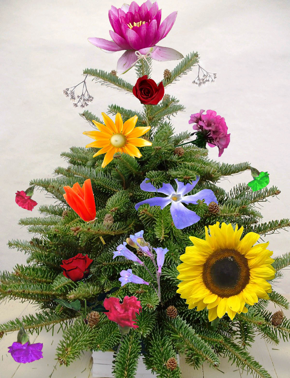 Photoshop Design by PeterAAAWelch for DesignCrowd (Community Contests) | Design #8997534