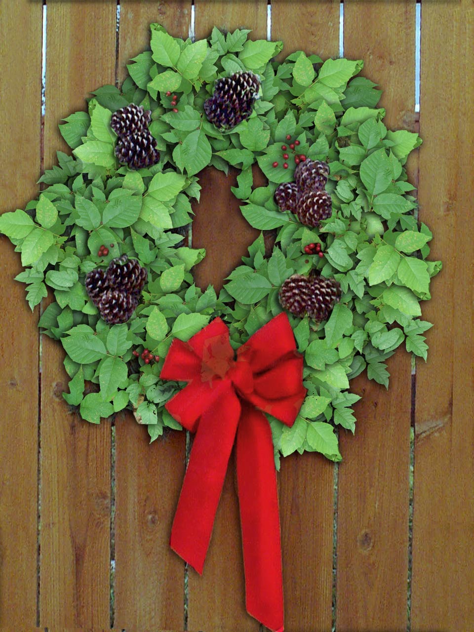 Diseño de Photoshop por arttrainer para DesignCrowd (Community Contests) | Diseño #8997547