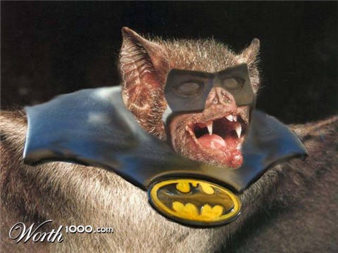 Photoshop Design by Rich