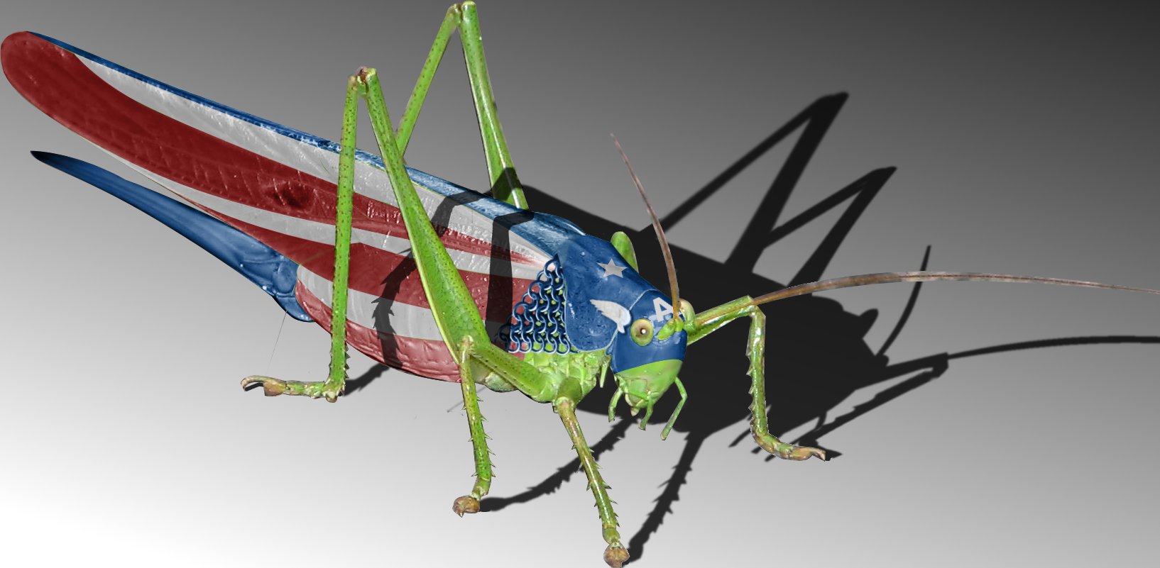 Diseño de Photoshop por reliable para DesignCrowd (Community Contests) | Diseño #8993167