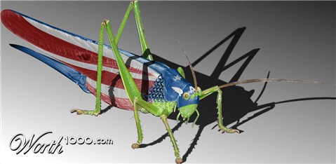 Photoshop Design by reliable