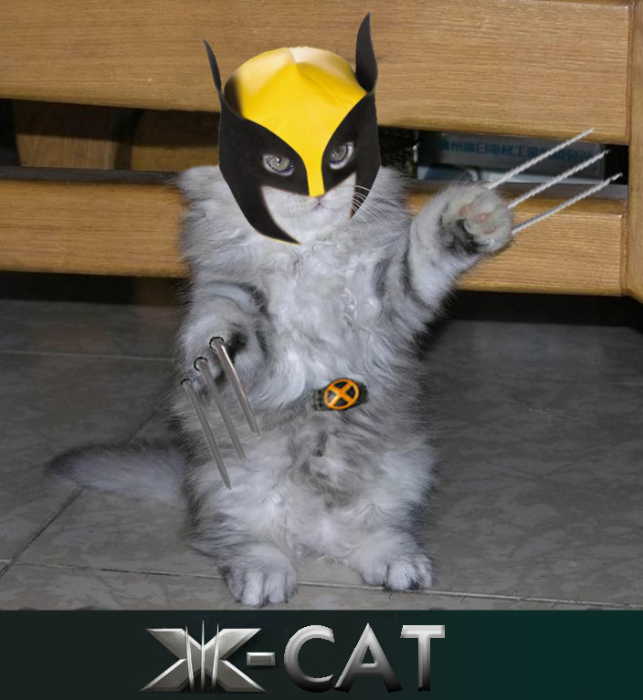 Photoshop Design by Rochoso for DesignCrowd (Community Contests) | Design #8993165