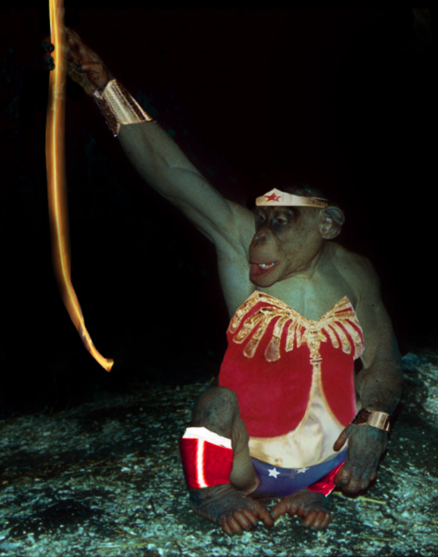 Photoshop Design by PeterAAAWelch for DesignCrowd (Community Contests) | Design #8993162