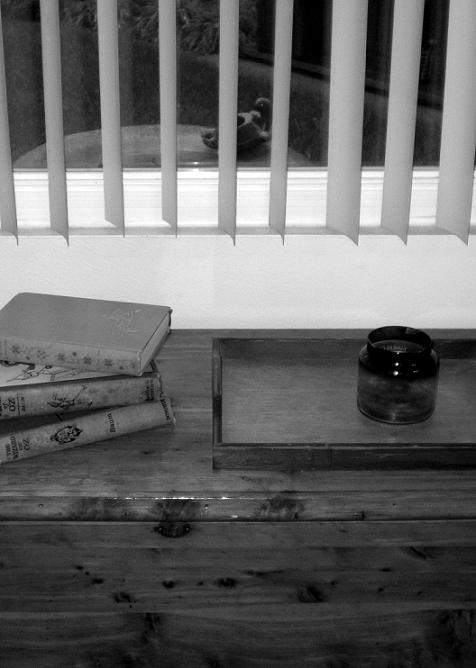 Photographie par bestpicturesever pour DesignCrowd (Community Contests) | Design #8996363