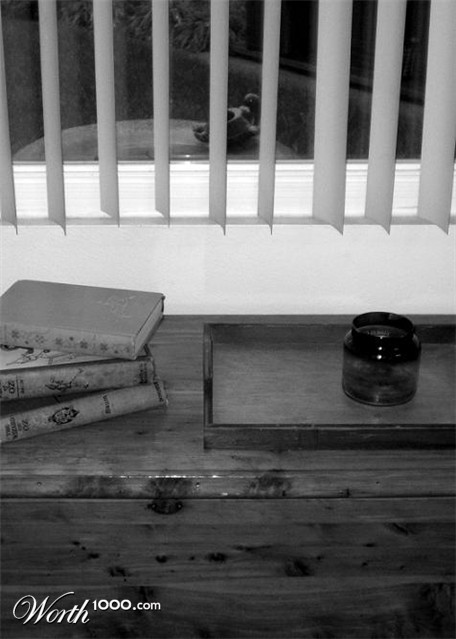 Photography by bestpicturesever