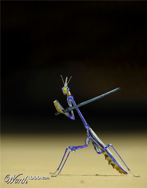 Photoshop Design by HopePhoto