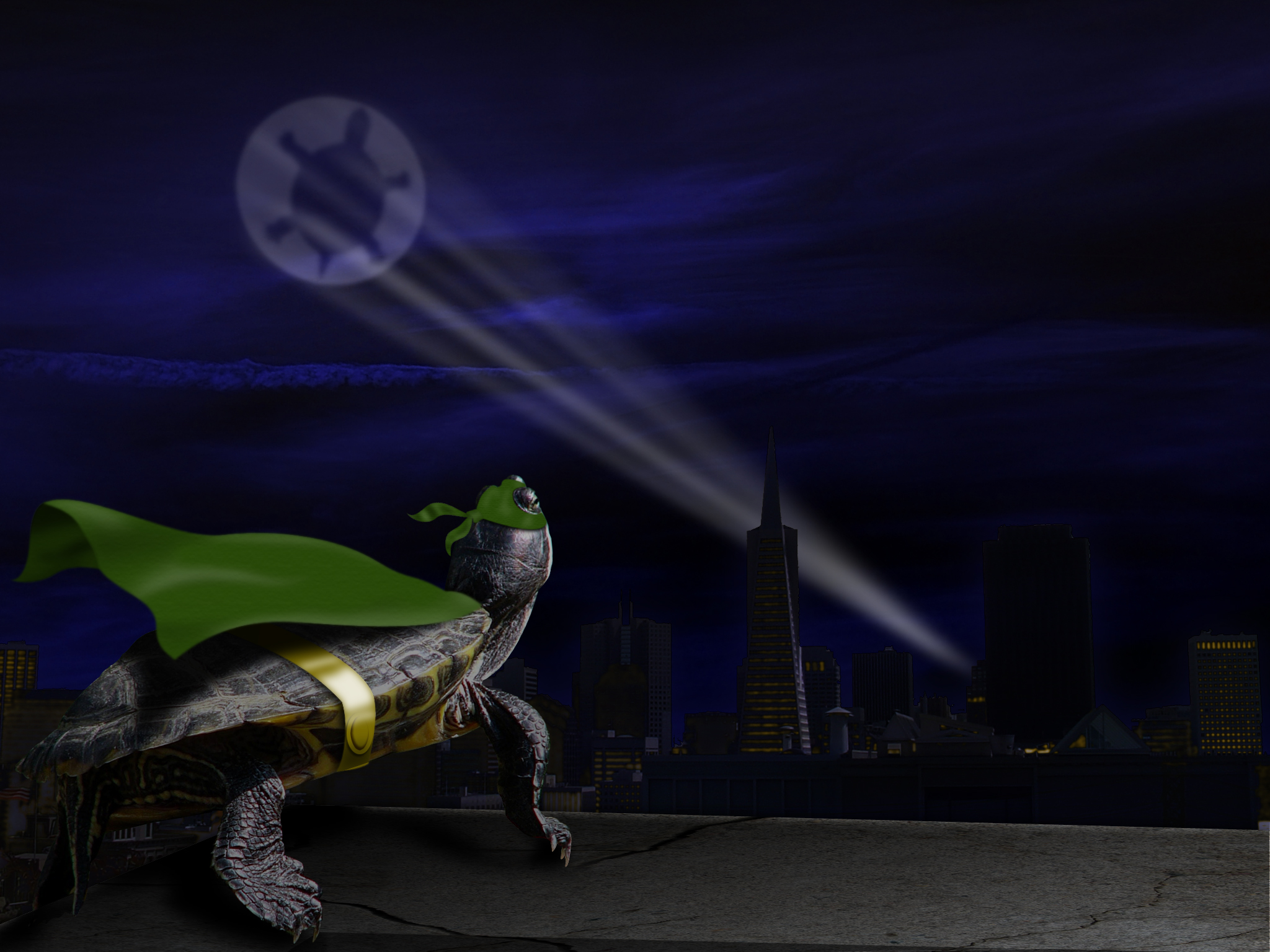 Photoshop Design by GANDAR for DesignCrowd (Community Contests) | Design #8993185