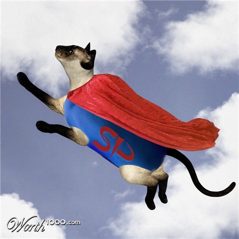 Photoshop Design by jenniferspriggs