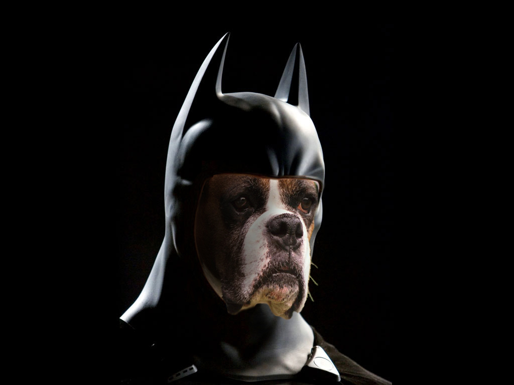 Photoshop Design by underworth for DesignCrowd (Community Contests) | Design #8993244