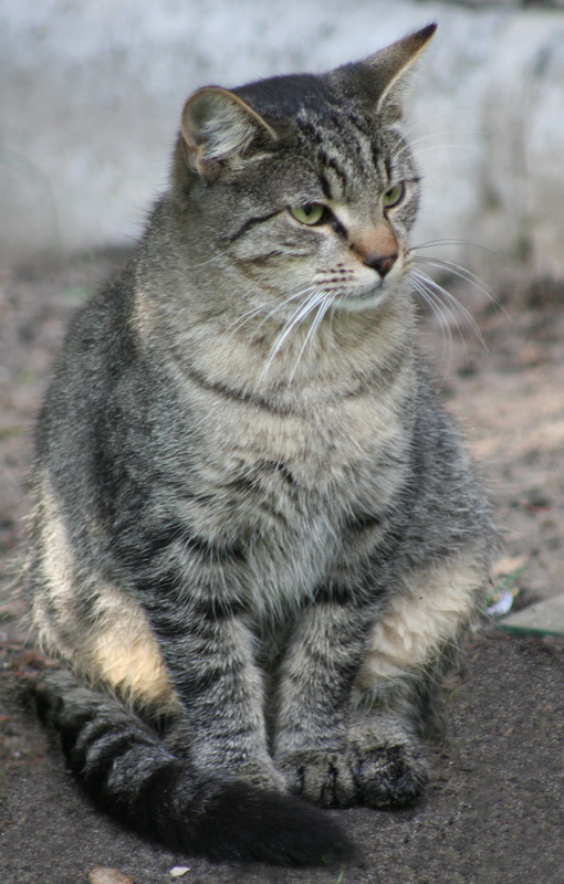 Photographie par mzmzmzmz pour DesignCrowd (Community Contests) | Design #8993536