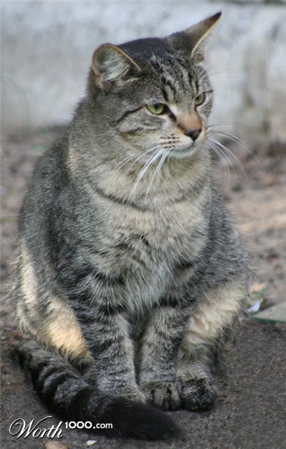 Photography by mzmzmzmz