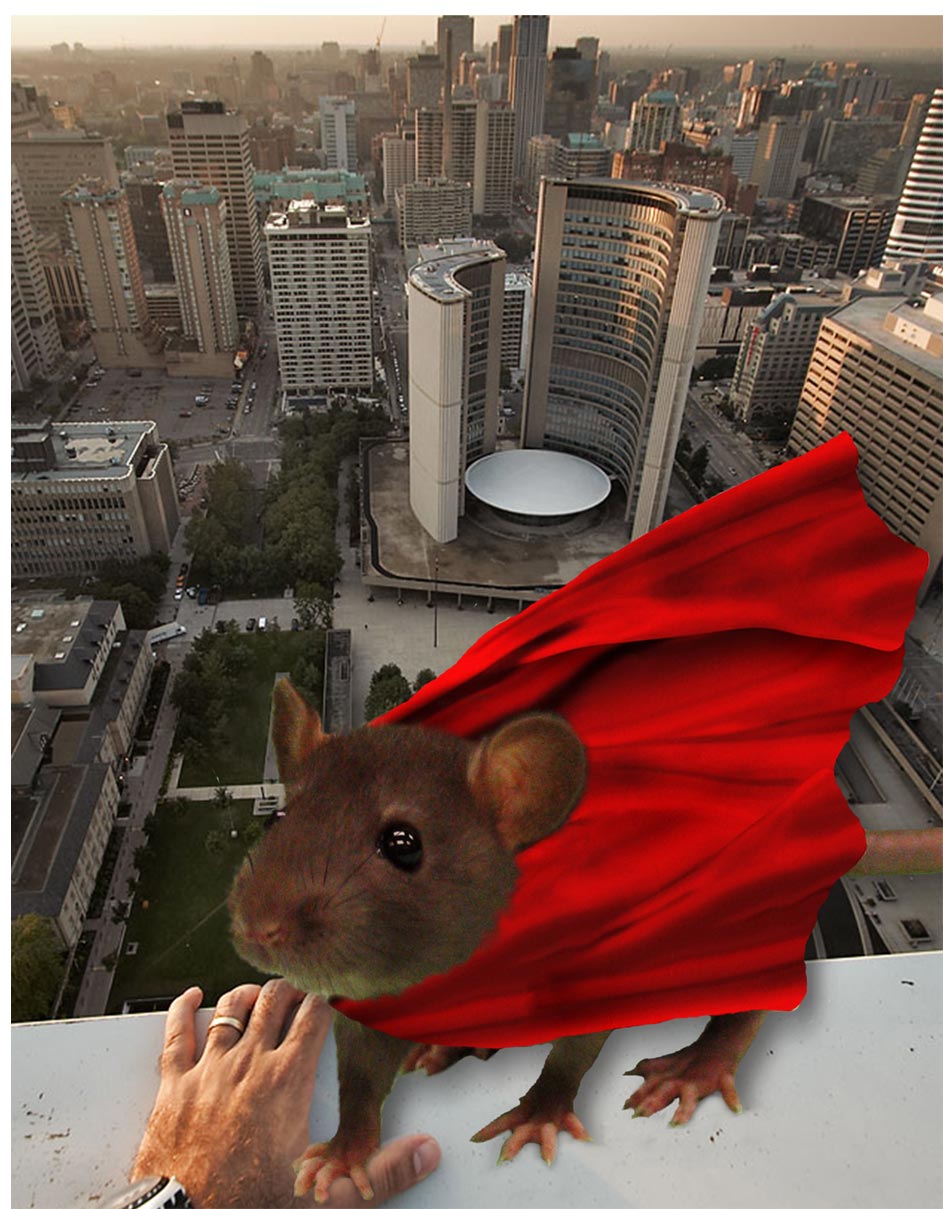 Photoshop Design by LadyLexx for DesignCrowd (Community Contests) | Design #8993236