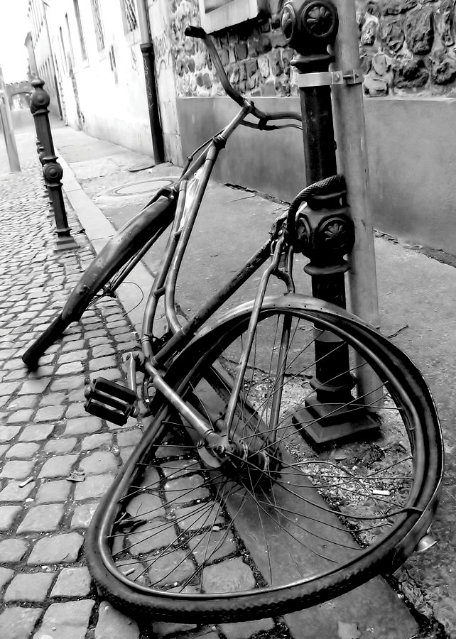 Fotografía por Chupakabra para DesignCrowd (Community Contests) | Diseño #8998702