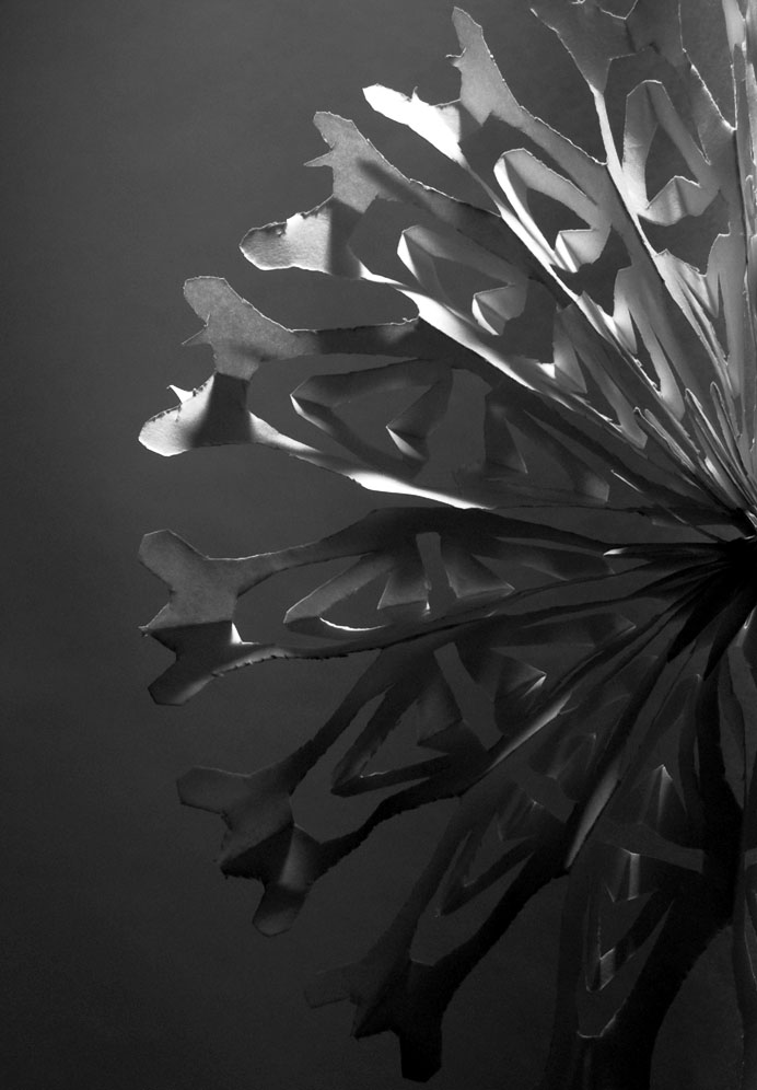 Photography by Isabella2006 for DesignCrowd (Community Contests) | Design #8994638