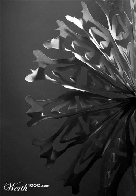 Photography by Isabella2006