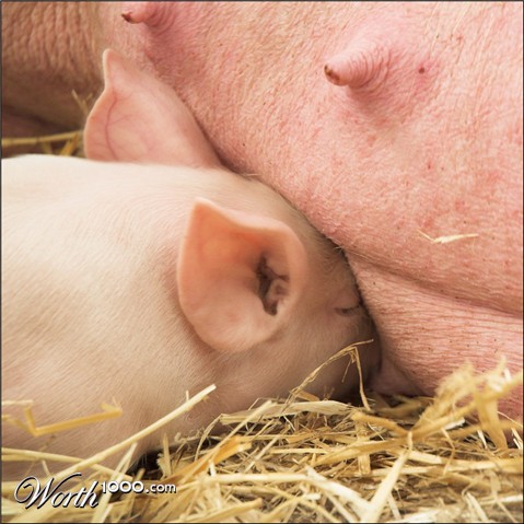 Photography by kimbomac