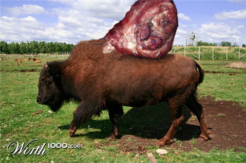 Photoshop Design by schweitz