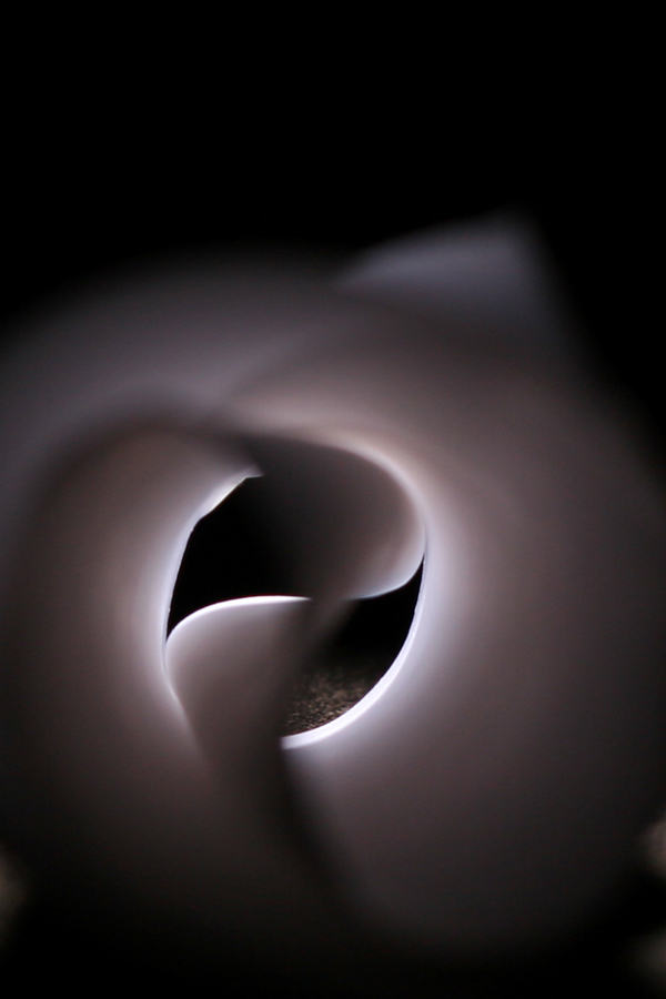 Photographie par crawdaddy pour DesignCrowd (Community Contests) | Design #8994651