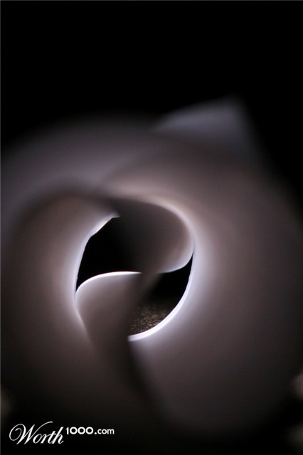 Photography by crawdaddy