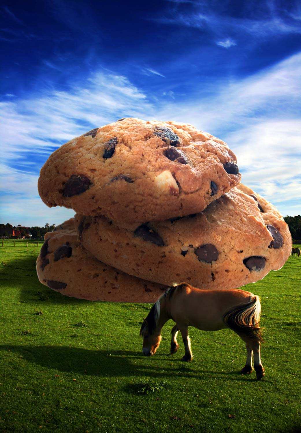 Photoshop Design by mattbyng for DesignCrowd (Community Contests) | Design #8992815