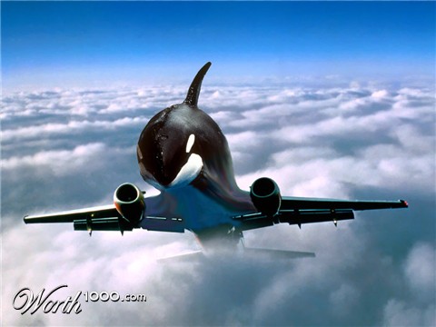 Photoshop Design by Luis Muga
