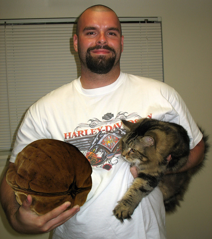 Photoshop-Design von Grujah für DesignCrowd (Community Contests) | Design #8992820