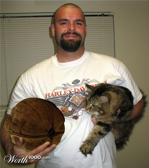 Photoshop Design by Grujah