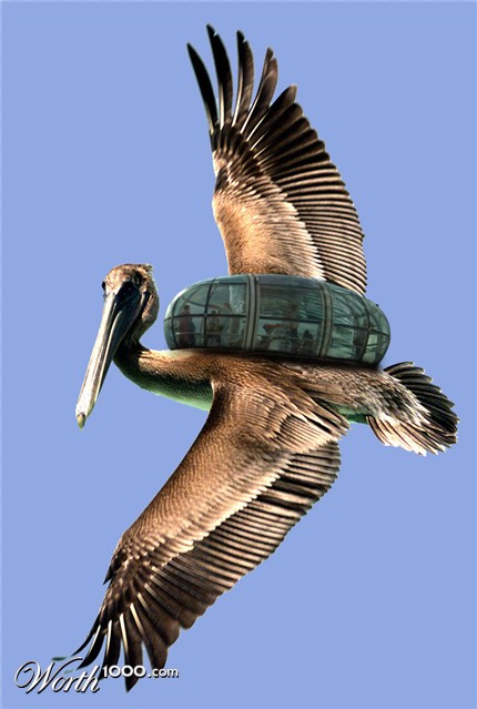 Photoshop Design by reliable