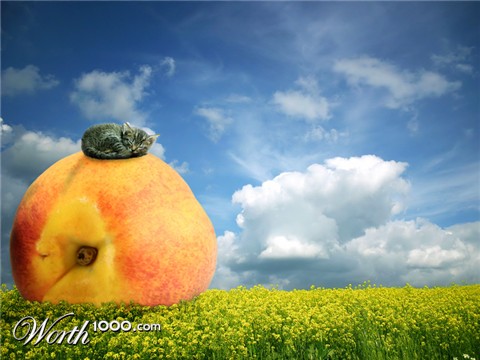 Photoshop Design by ArchaicArtist