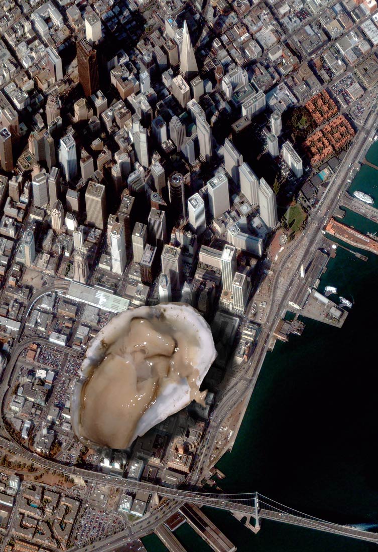 Diseño de Photoshop por Terrence para DesignCrowd (Community Contests) | Diseño #8992867