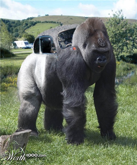 Photoshop Design by knutmaurset